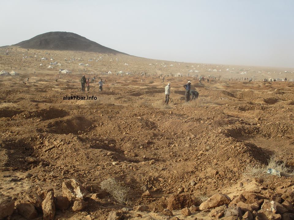 مشهد من مشاهد التنقيب عن الذهب في منطقة "الدواس" شمالي موريتانيا (الأخبار - أرشيف)