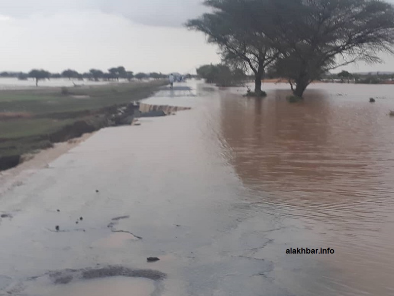 غطت السيول المتدفقة الطريق الرئيس في المنطقة وأحكمت إغلاقه (الأخبار)
