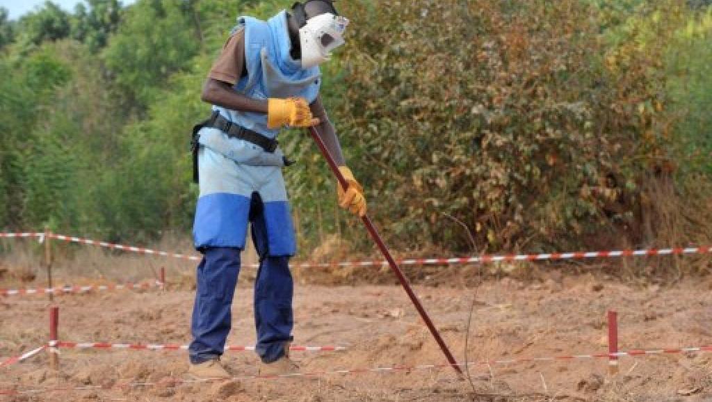 أحد عمال إزالة الألغام في منطقة "كازماص" جنوب السنغال