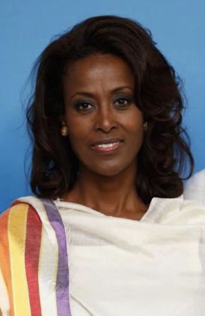 اميازا أشيفاني: رئيسة المحكمة الدستورية في أثيوبيا.