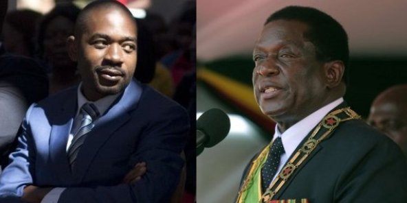 المتنافسان الرئيسيان على الانتخابات الرئاسية بزيمبابوي إميرسون منانغاغوا ونيلسون شاميسا.