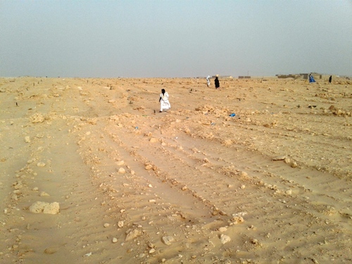 جانب من انتشار المدرسين لتفقد قطعهم الأرضية بعيد انتهاء ترقيمها / الأخبار