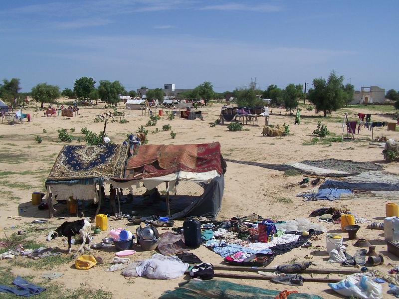 العبارة التي تنقل المسافرين على متن النهر الفاصل بين موريتانيا والسنغال