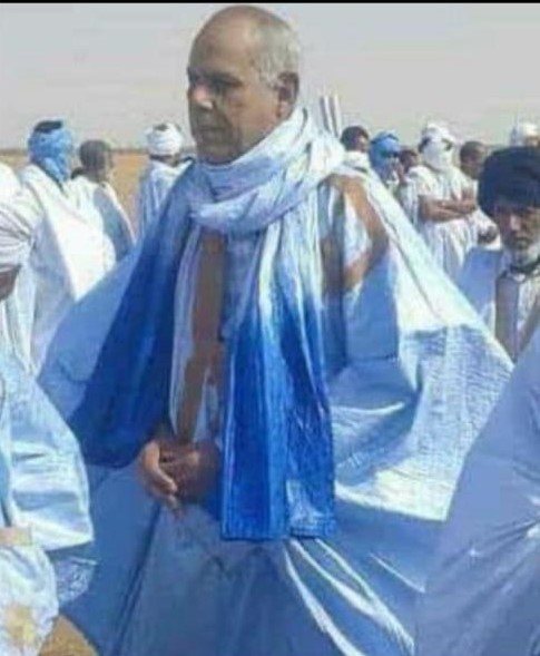 الشيخ محمد بن الشيخ محمد المصطفى بن الشيخ أحمد أبي المعالى