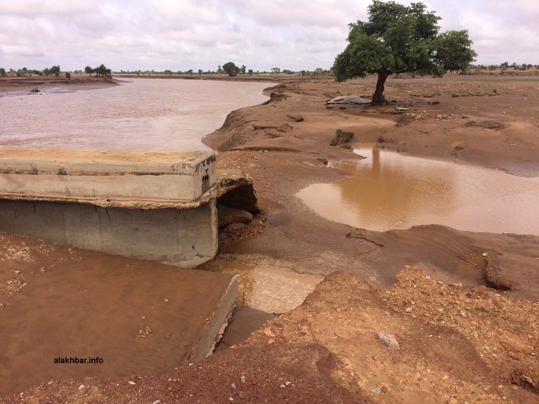 جسر جرفته السيول في ولاية كيدماغا سنة 2019  (الأخبار / أرشيف)