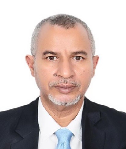 الحاج سيدي ابراهيم سيدي يحي - مهندس في مجال البترول