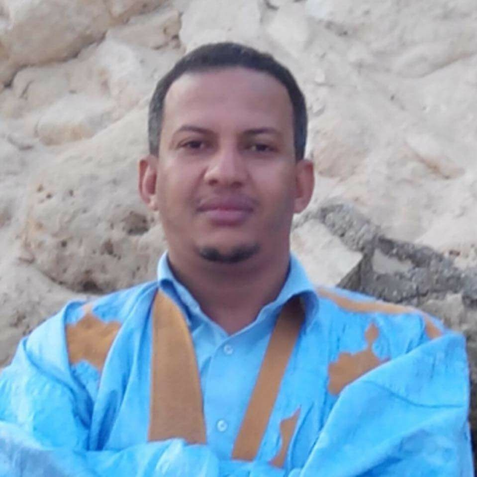 الشيخ محمد المامي اسلام