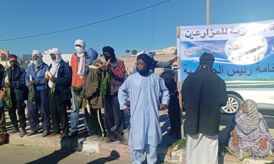 استغرب المزارعون في نواذيبو تعطل مشروع تحلية مياه البحر 4 سنوات مما تسبب في معاناتهم/ الأخبار