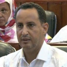 محمد ولد غده: عضو مجلس الشيوخ الموريتاني.