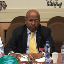 النائب البرلماني عن حزب الاتحاد من أجل الديمقراطية والتقدم الدان أحمد عثمان