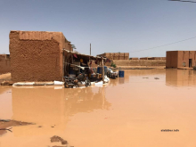 مياه الأمطار تحاصر المنازل في إحدى القرى شرقي موريتانيا (الأخبار - أرشيف)