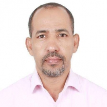 محمد محمود بن أحمد محجوب - باحث وأكاديميّ 