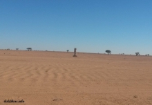 يرمز هذا النصب الإسمنتي الذي وضع قبل فترة لنقطة الحدود بين موريتانيا والجزائر ـ (أرشيف الأخبار)