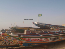 قوارب صيد تقليدي على الشواطئ الموريتانية (الأخبار - أرشيف)