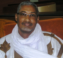 عبد الرحمن ولد ميني: نائب برلماني وقيادي بحزب تكتل القوى الديمقراطية