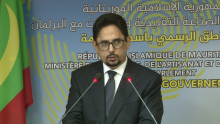 محمد الأمين ولد الشيخ: الناطق الرسمي باسم الحكومة الموريتانية.