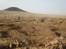 منقبون عن الذهب في منطقة شمال موريتانيا (الأخبار - أرشيف)