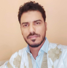 محمد سالم ولد مولاي أحمد