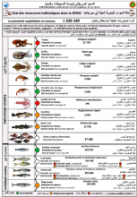جانب من النشرية الصادرة عن المعهد الموريتاني لبحوث المحيطات والصيد/ الأخبار