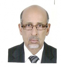 إسلمو ولد سيدي أحمد - كاتب وخبير لغوي وباحث في مجال الدراسات المعجمية والمصطلحية