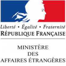 الخارجية الفرنسية تعلن اختطاف فرنسي باتشاد.